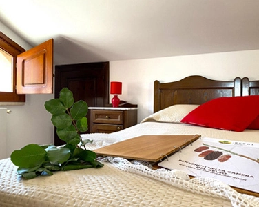Gelso Cozy Economy