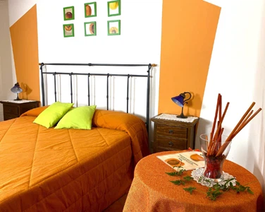 Albicocche Cozy Economy