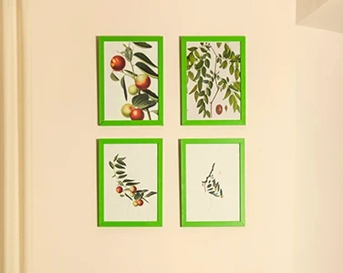 Family Suite Giuggiole design